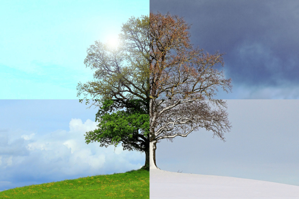 comparison 2 600 x 400